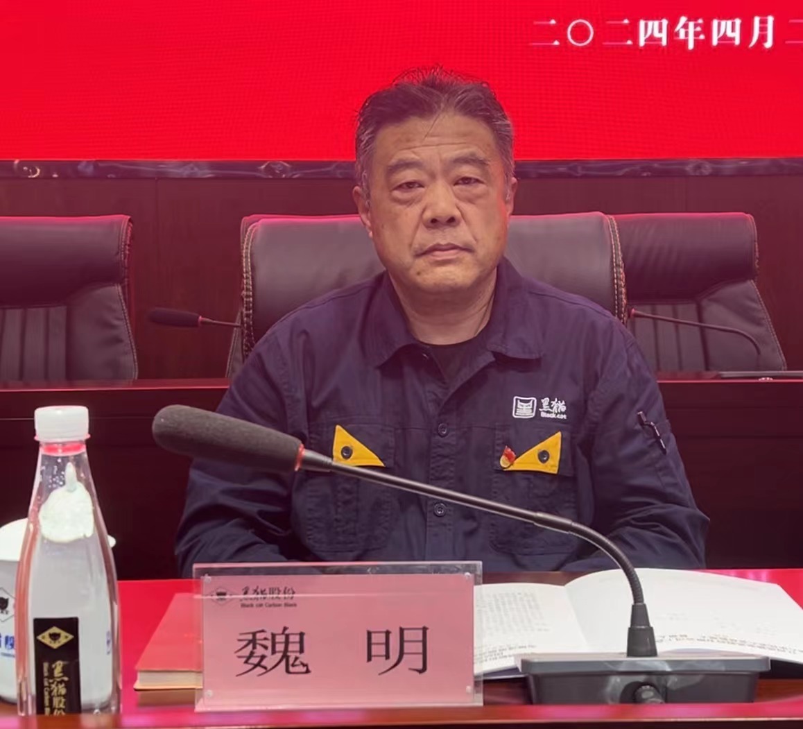 4 黑貓股份黨委副書記、董事長魏明出席會議.jpg